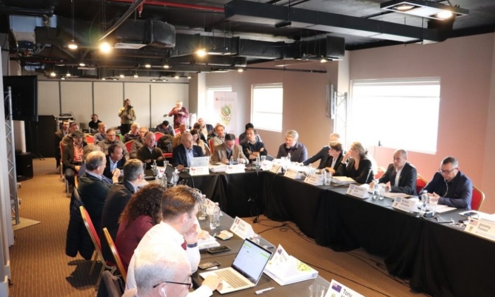 IKO 2023 en Chile: Situación y proyecciones de los principales países productores y exportadores de kiwi del mundo