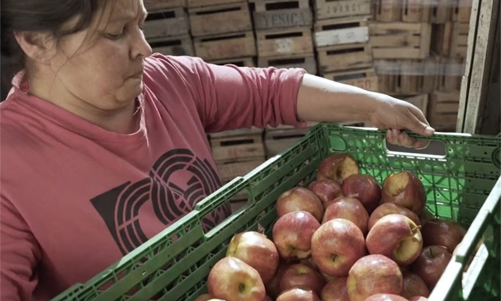 Cómo una empresa aplica tecnología para evitar el sobreprecio de los alimentos en barrios más pobres