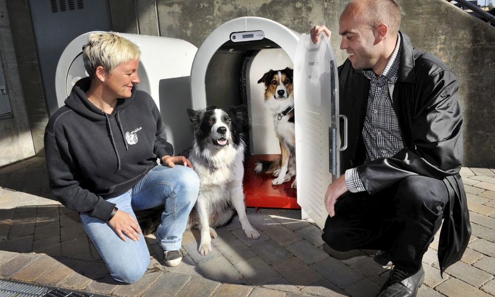 La solución noruega para no dejar al perro atado en el supermercado: casetas climatizadas que se abren con una ‘app’