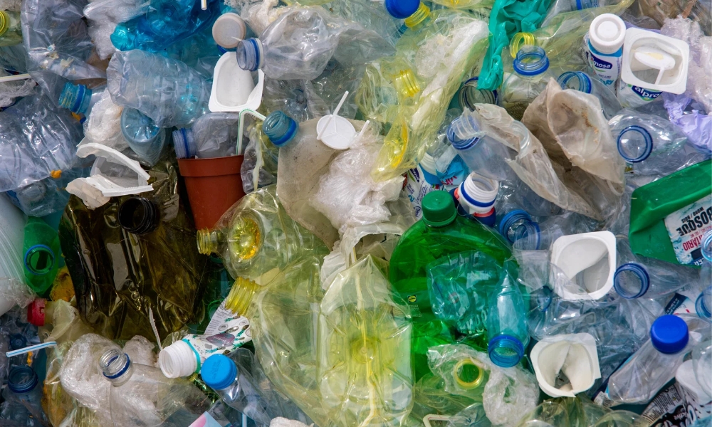 Casaideas y su compromiso con el medio ambiente