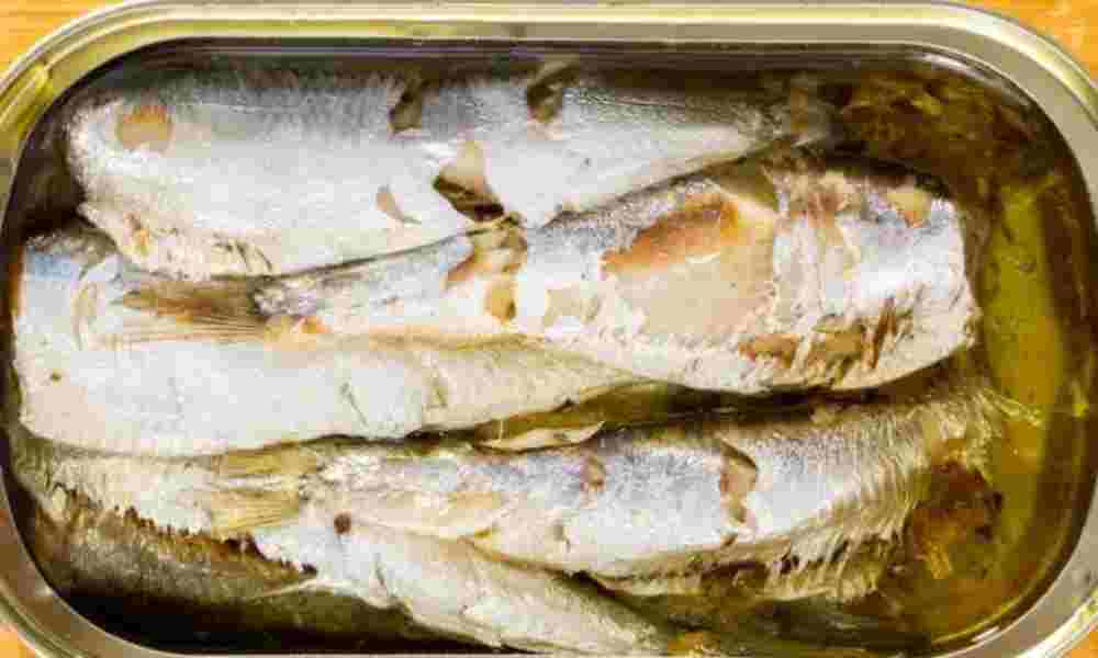 Estudio revela que simple cambio de dieta podría salvar 750 mil vidas: este alimento deberías consumir