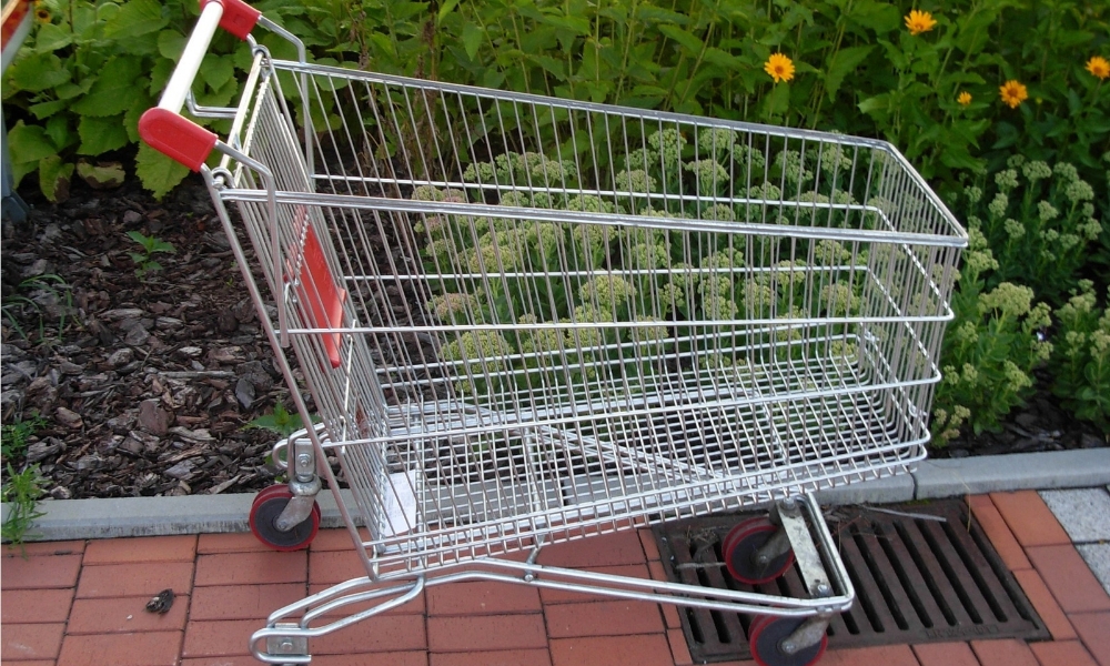Pérdidas por el Robo de Carros de Supermercado en Chile: Un Problema que nos Afecta a Todos