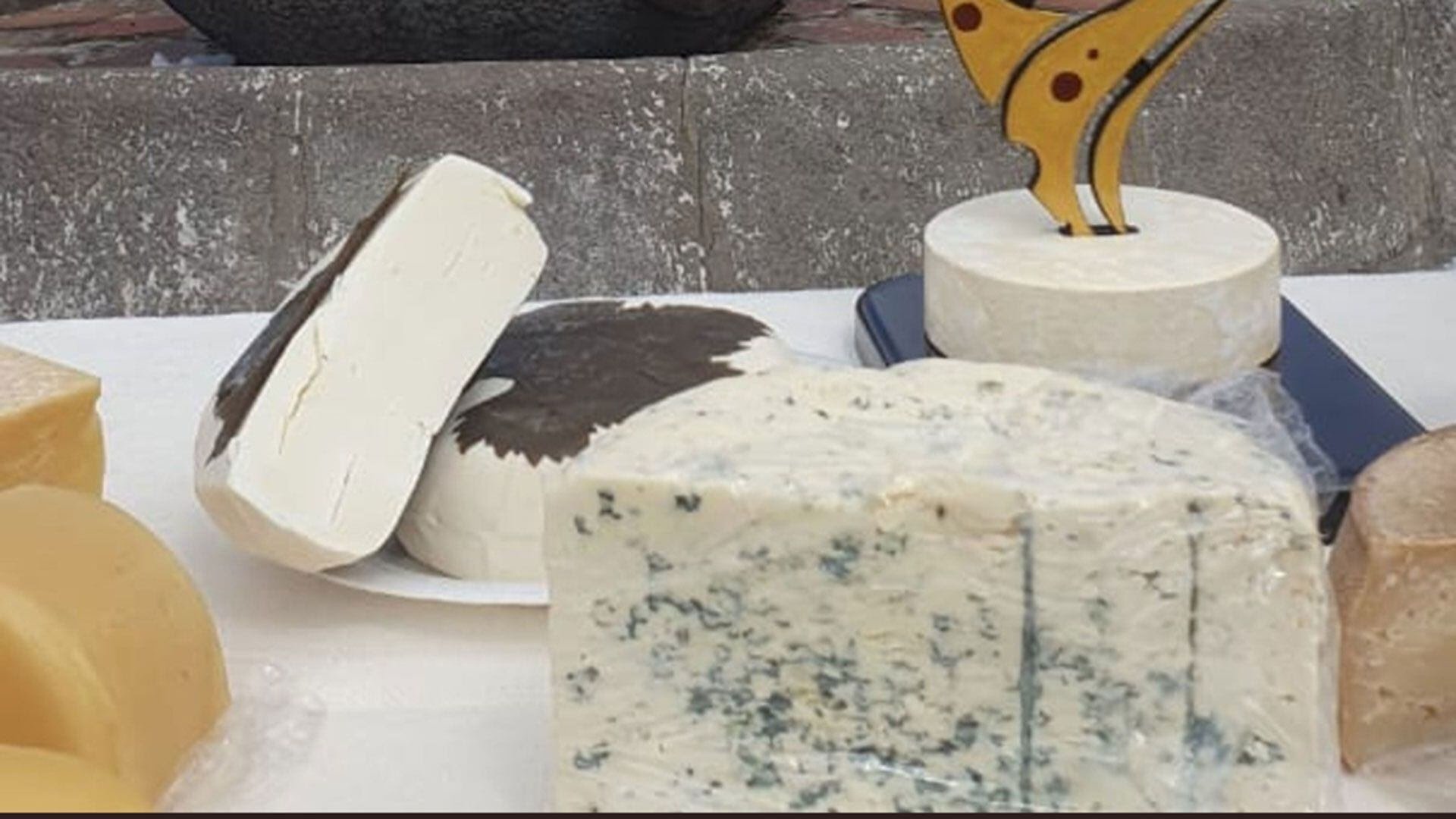 La productora ganó con este espectacular queso de cabra azul y el año pasado lo hizo con uno macerado en pisco. 