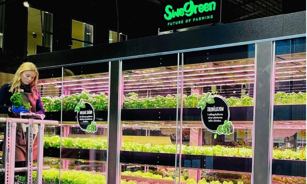Innovación en alimentación: granjas que cultivan en supermercados de Europa