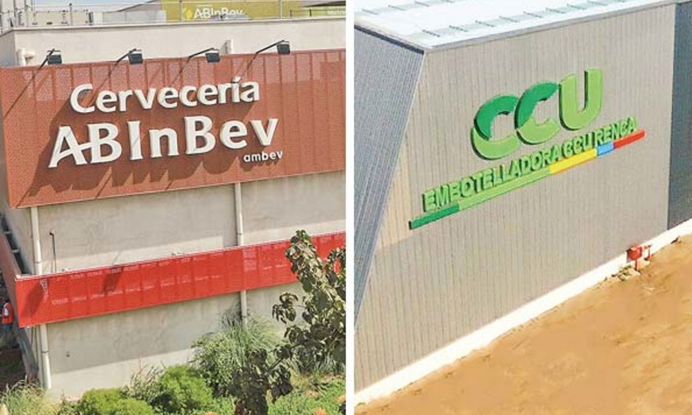 Se reactiva juicio cervecero: gerente general de AB InBev en Chile contesta interrogatorio de CCU en el TDLC