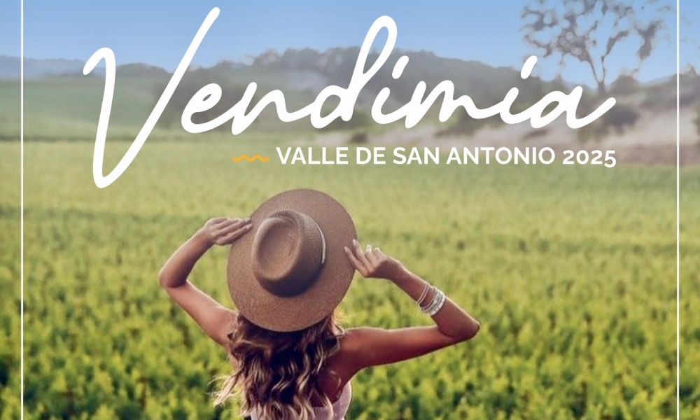 V Versión de la Fiesta Vitivinícola del Valle de San Antonio: La Primera Vendimia de la Región de Valparaíso 2025