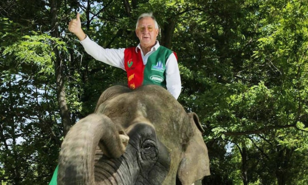 Horst Paulmann y los años tempranos del imperio del elefante