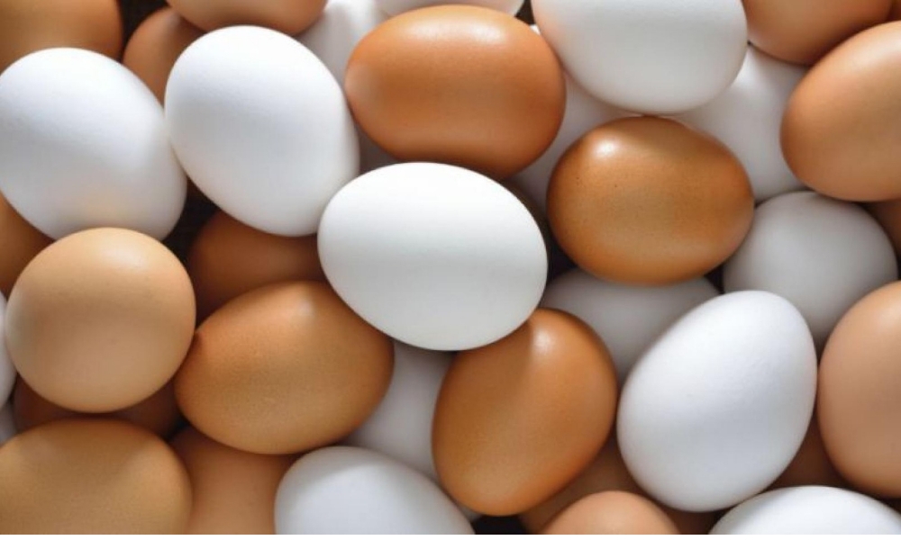 ¿Qué tan saludables son los huevos? Esto dice la ciencia