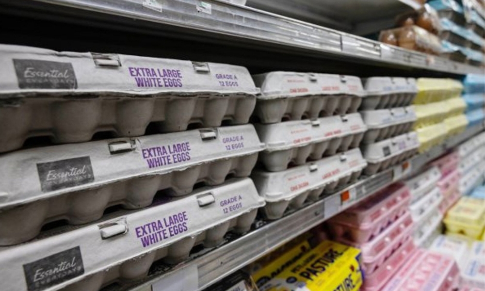 Productores de huevos veganos esperan enormes ganancias a medida que gripe aviar dispara los precios en EEUU