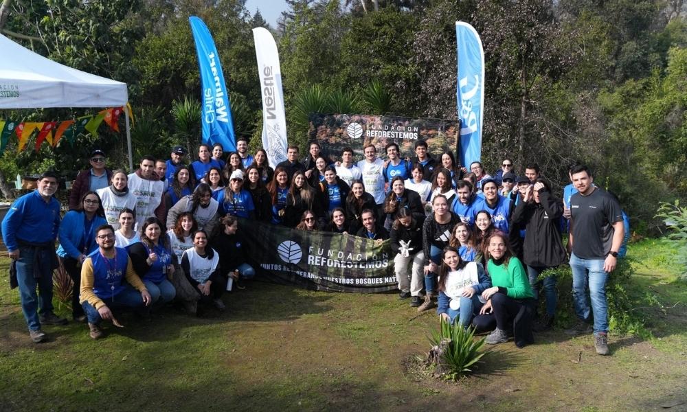 Nestlé, P&G Chile y Walmart Chile culminan ambicioso plan ambiental con 60.000 árboles nativos plantados en todo el país