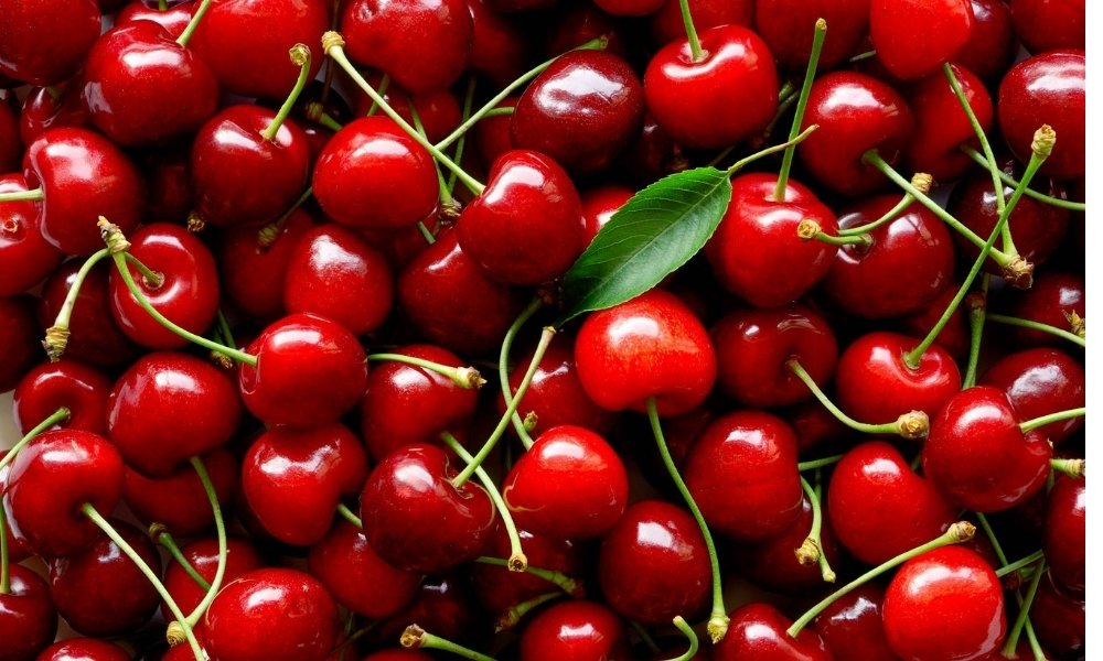 Chile lidera exportaciones mundiales en 24 productos: destacan cobre, cerezas y litio