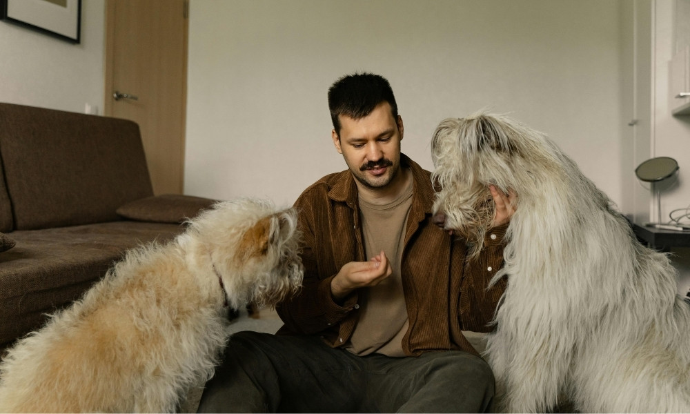 Siete de cada diez hogares en Chile conviven con una mascota