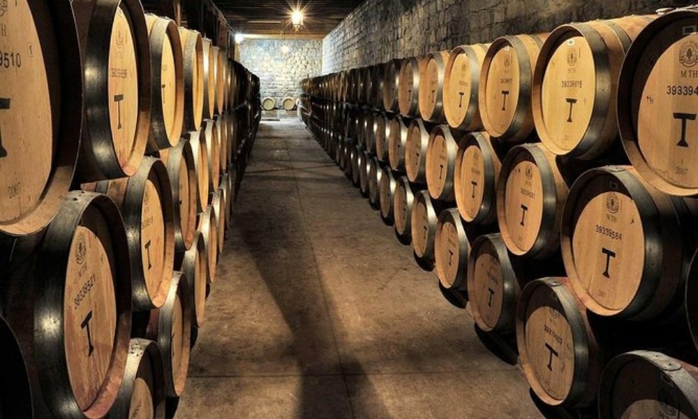 Ventas de Viña Santa Rita alcanzan $ 77.701 millones durante primera mitad de 2025