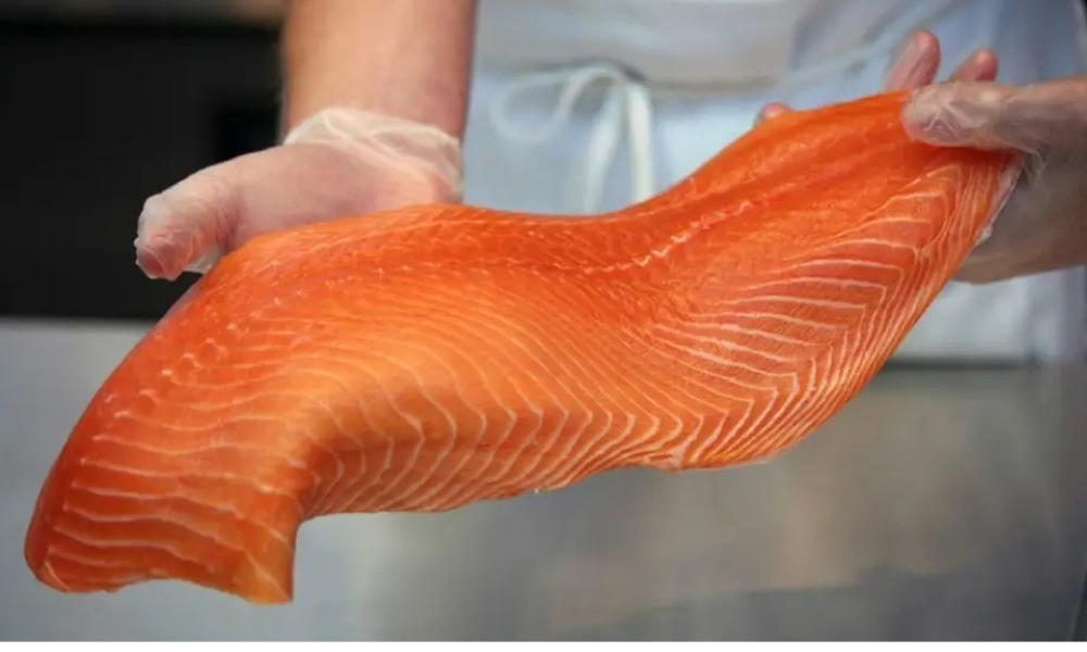 CMPC y MIT desafían a rediseñar el packaging del salmón chileno en EE.UU.