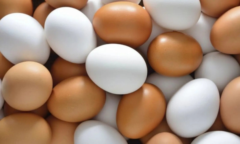 Reportan estabilización de precio de huevos y llaman a no comprar en comercio ilegal por daños a salud