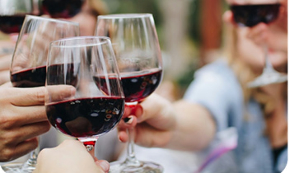 “La Cava Jumbo”: el nuevo y sorprendente espacio para los amantes del vino, licores y sabores que debuta en Chile