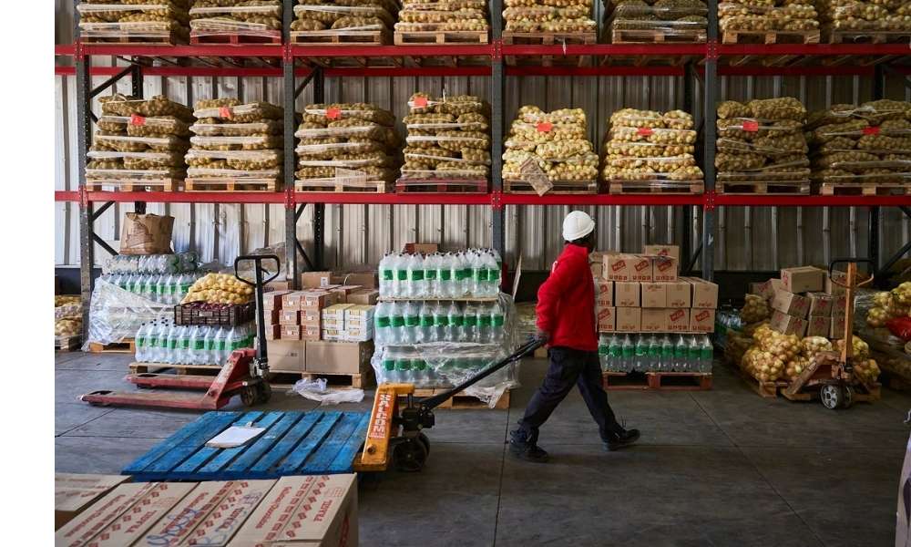 <strong>Red de Alimentos combate la inseguridad alimentaria y el impacto ambiental con un rescate histórico de 97 millones de kilos de productos</strong>