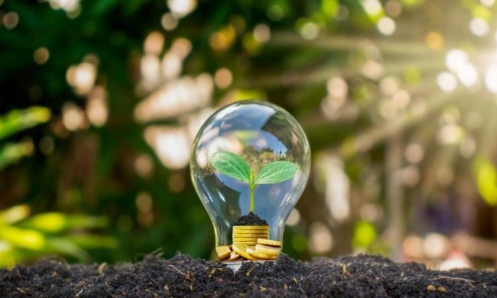 SMU refuerza su compromiso en eficiencia energética en el Día Mundial del Ahorro de Energía