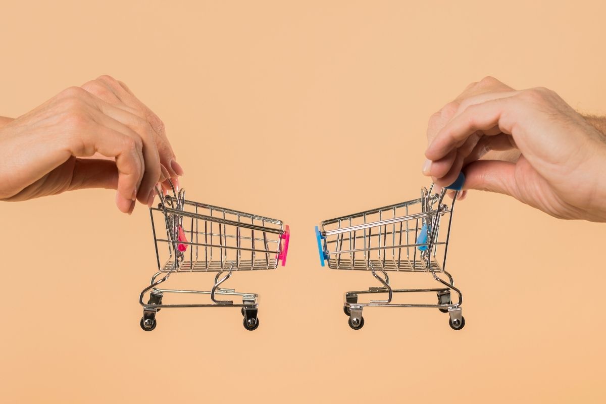 Hogares en Chile reconfiguran su consumo: 50% del gasto se destina a alimentos, mientras cuidado del hogar repunta y lácteos se mantienen estables