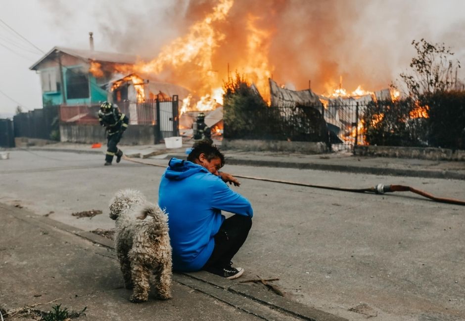 Red de Alimentos activa red de emergencia por incendios en Ñuble y Biobío