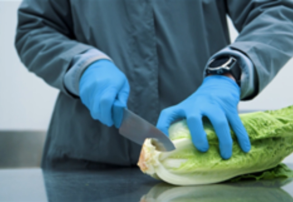 Genética de postcosecha actúa como seguro para productores e industrias de vegetales