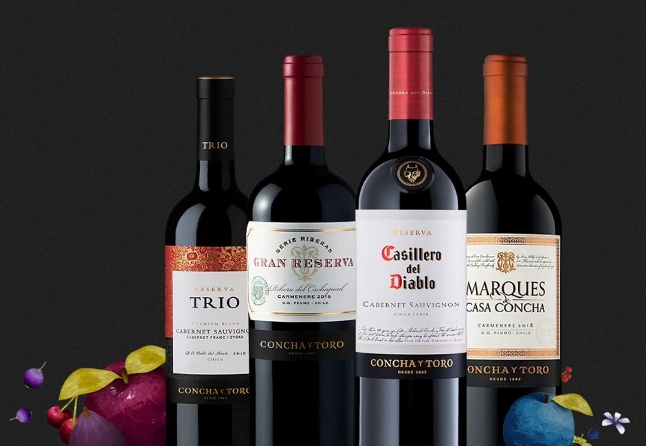 Concha y Toro ha invertido más de US$50 millones en nuevos negocios desde 2017 y casi US$580 millones en total